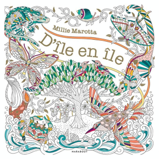 Livre de coloriage D'île en île - Marabout - Rougier et Plé