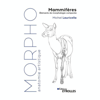 Livre Morpho Mammifères - Eyrolles - Rougier et Plé