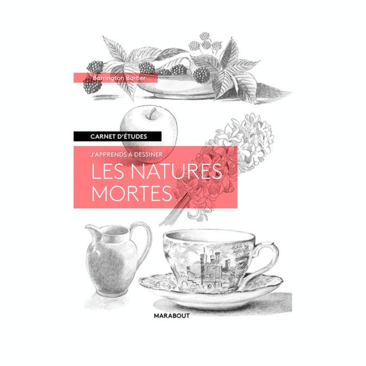 Livre Carnet d'études Les natures mortes - Marabout - Rougier et Plé