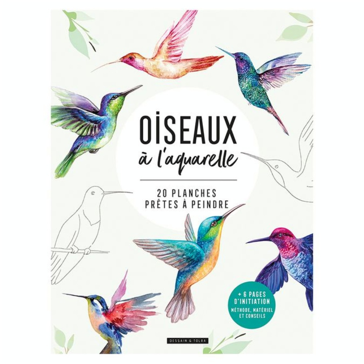 Livre Oiseaux à l'aquarelle - Dessain et Tolra - Rougier et Plé