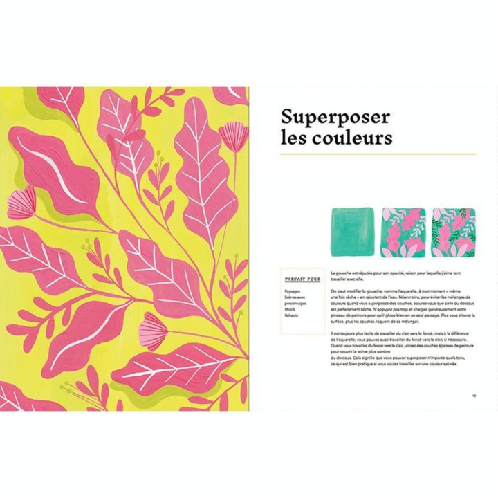 Livre Gouache créative - Dessain et Tolra - Rougier et Plé