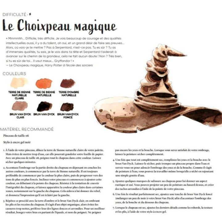 Livre D'après les films Harry Potter : la magie de l'aquarelle - Hachette - Rougier et Plé