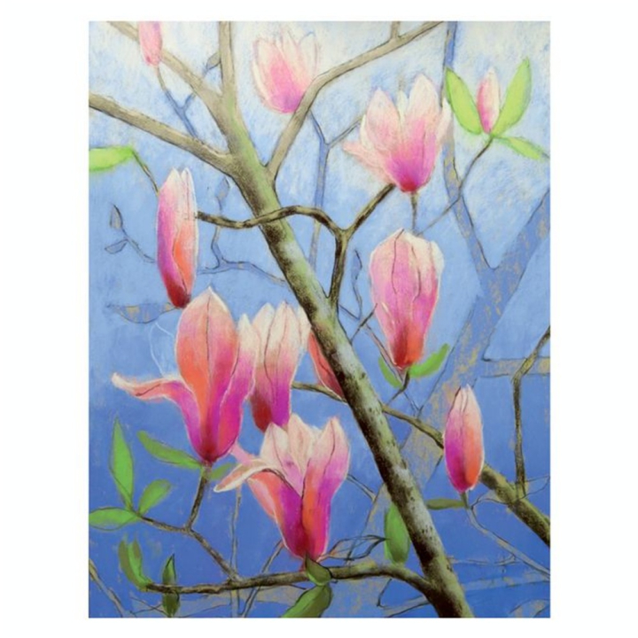 Livre La nature au pastel - Editions de Saxe - Rougier et Plé