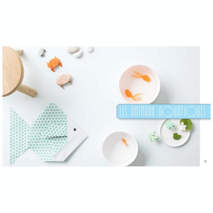 Livre Origami inspiration naturel : 30 pliages - Marie-Claire - Rougier et Plé