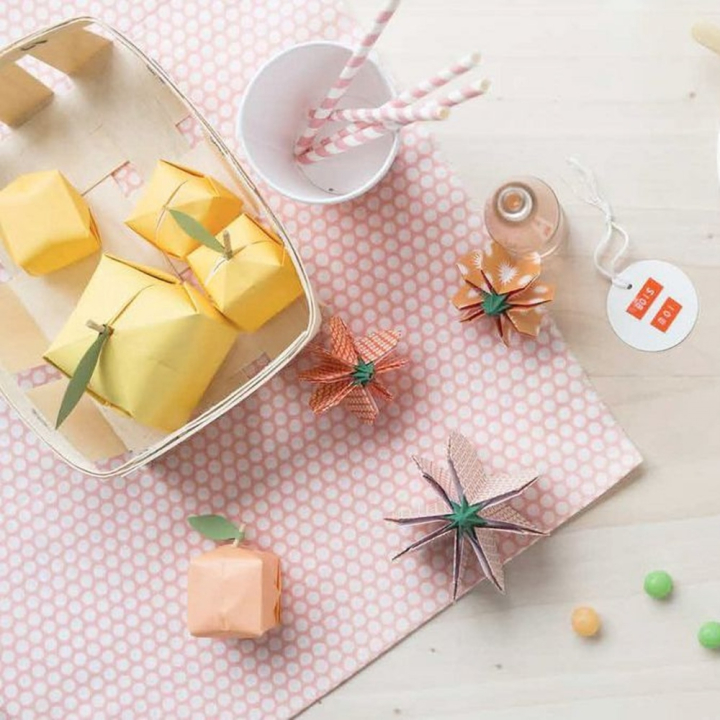 Livre Origami inspiration naturel : 30 pliages - Marie-Claire - Rougier et Plé
