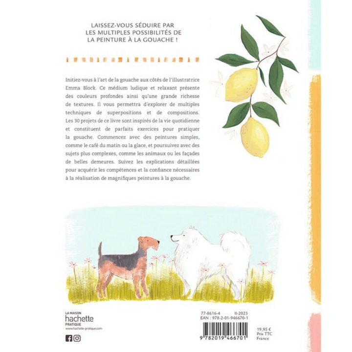 Débuter à la gouache - Guide coloré - Hachette - Rougier et Plé