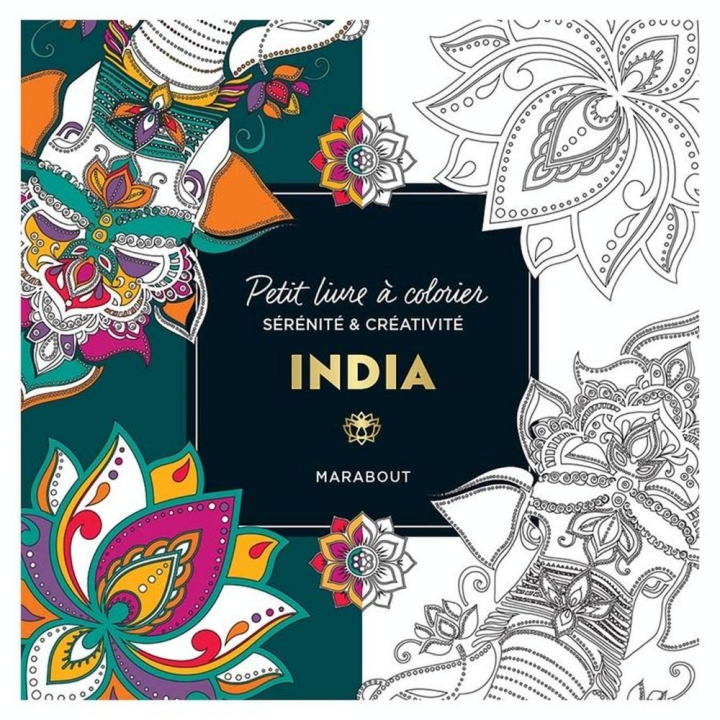 Petit livre à colorier India - Marabout - Rougier et Plé