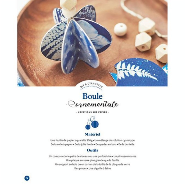 Livre Mes créations en cyanotype - Marie-Claire - Rougier et Plé