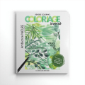 Livre de Coloriage inversé - Ambiance Nature - Un dimanche après-midi - Rougier et Plé