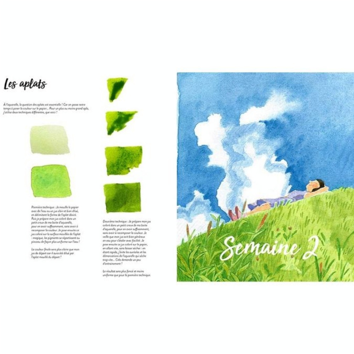 Livre Une année d'aquarelle - Mango - Rougier et Plé