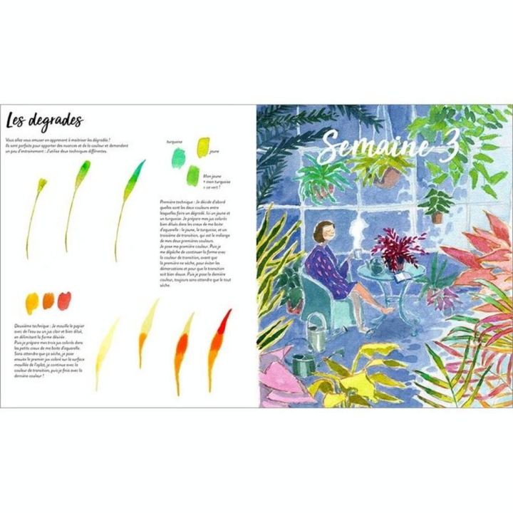 Livre Une année d'aquarelle - Mango - Rougier et Plé