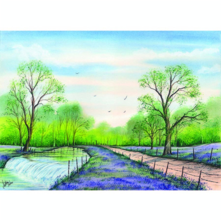 Livre Le guide ultime de l'aquarelle - Editions de Saxe - Rougier et Plé