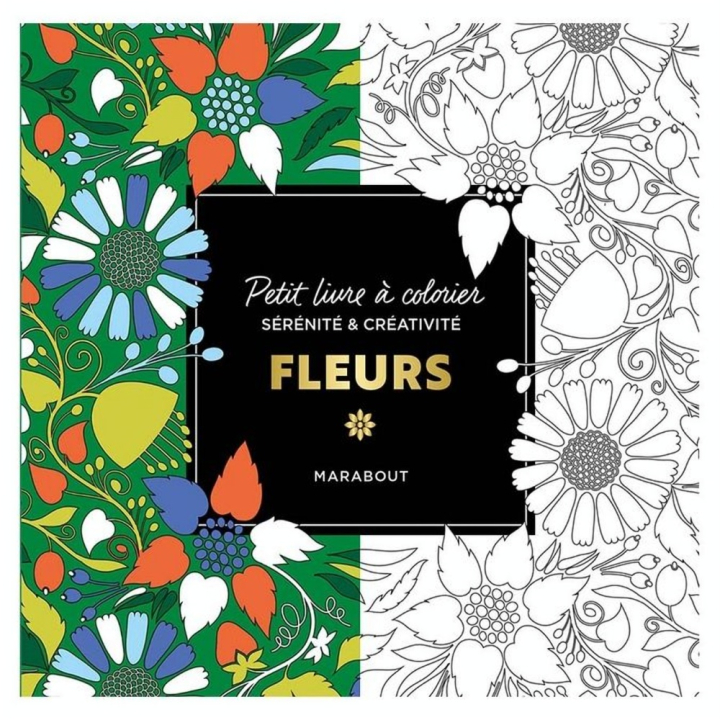 Petit livre à colorier Fleurs - Marabout - Rougier et Plé