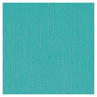 Papier cartonné texturé Cardstock 30,5 x 30,5 cm - Bazzill Basics Paper - Rougier et Plé