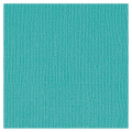 Papier cartonné texturé Cardstock 30,5 x 30,5 cm - Bazzill Basics Paper - Rougier et Plé