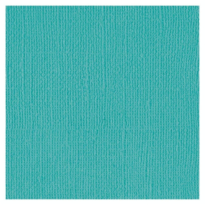 Papier cartonné texturé Cardstock 30,5 x 30,5 cm - Bazzill Basics Paper - Rougier et Plé