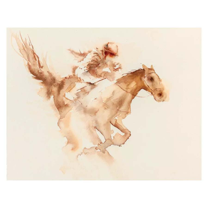 Livre Animaux à l'aquarelle - Editions de Saxe - Rougier et Plé
