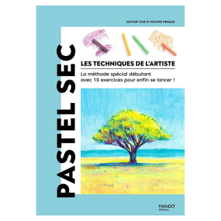 Livre Pastel Sec - Les techniques de l'artiste - Mango - Rougier et Plé