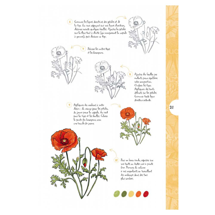 Livre 10 étapes pour dessiner plantes et végétaux - Éditions Vigot - Rougier et Plé