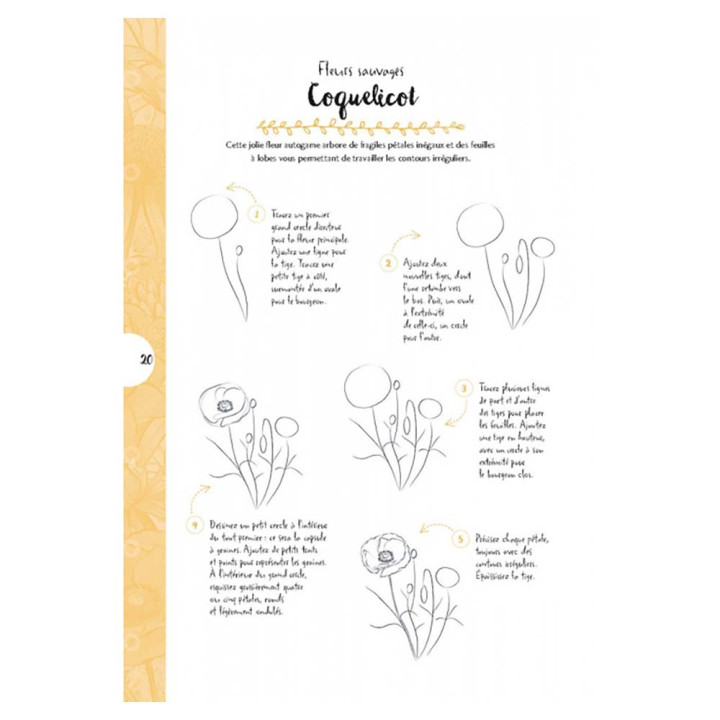 Livre 10 étapes pour dessiner plantes et végétaux - Éditions Vigot - Rougier et Plé