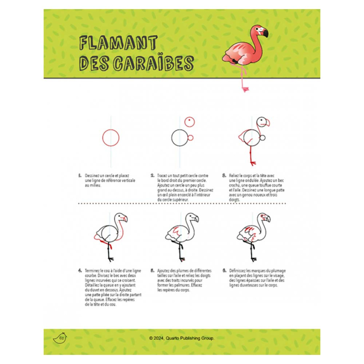 Livre Dessiner des oiseaux kawaii - Éditions Vigot - Rougier et Plé
