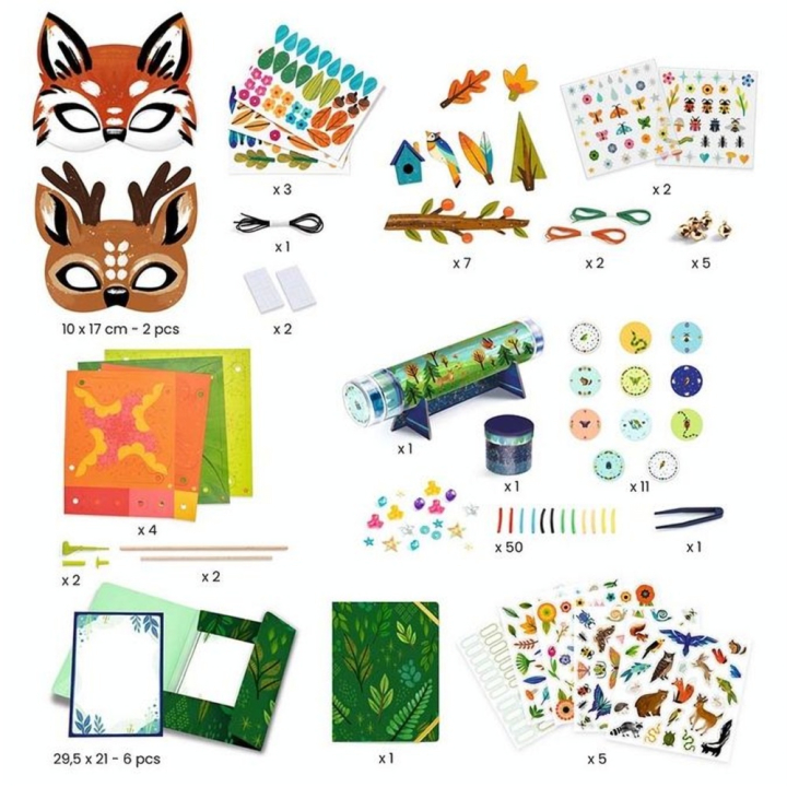 Coffret multi-activités DIY Nature - Djeco - Rougier et Plé