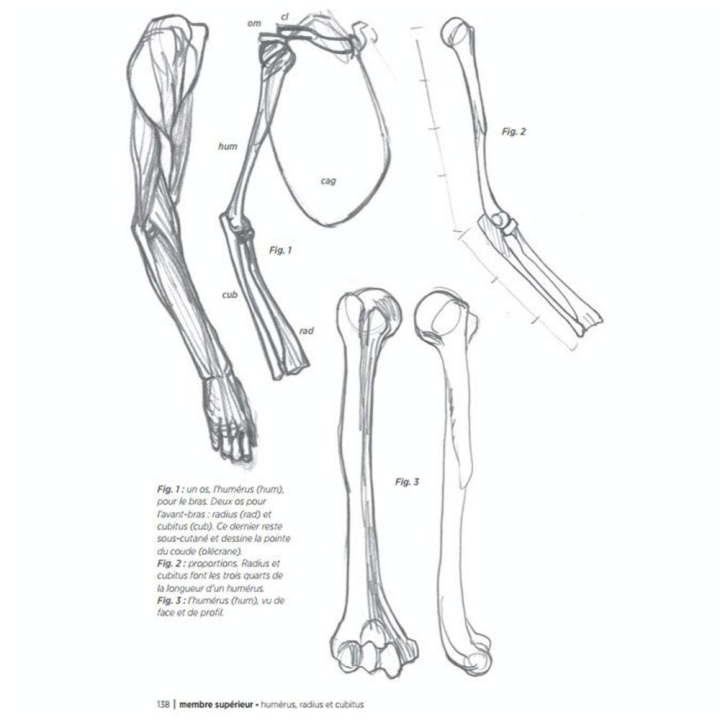 Livre Morpho - Anatomie artistique - Eyrolles - Rougier et Plé