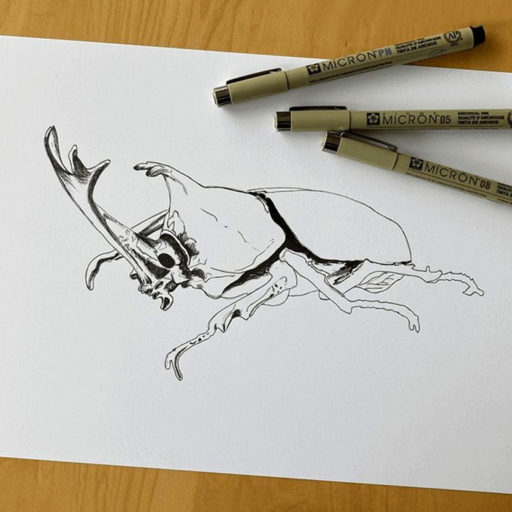 Feutres calibrés Pigma Micron x 6 + 1 feutre pinceau - Sakura - Rougier et Plé