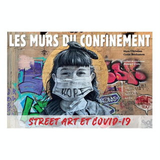 Livre Les murs du confinement - Omniscience - Rougier et Plé