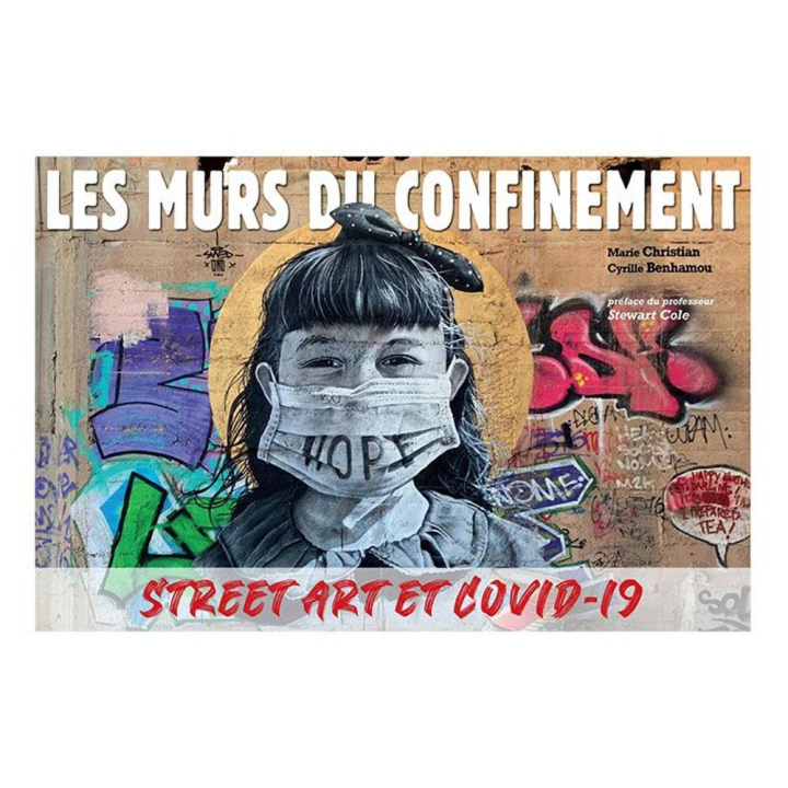 Livre Les murs du confinement - Omniscience - Rougier et Plé