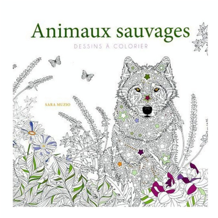 Dessins à colorier- Animaux sauvages - Interforum - Rougier et Plé