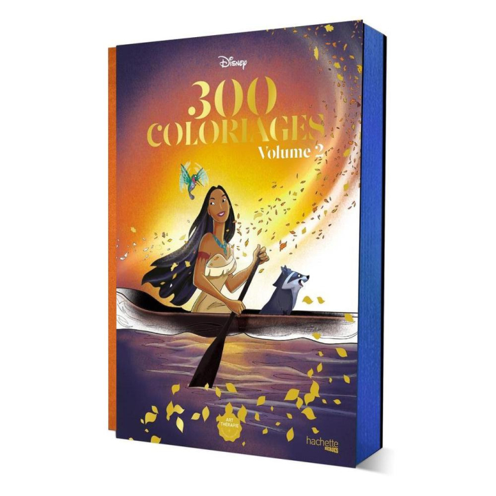 Livre 300 Coloriages Disney Vol. 2 - Hachette - Rougier et Plé