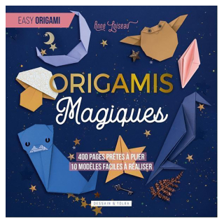 Livre Origamis Magiques - Dessain et Tolra - Rougier et Plé