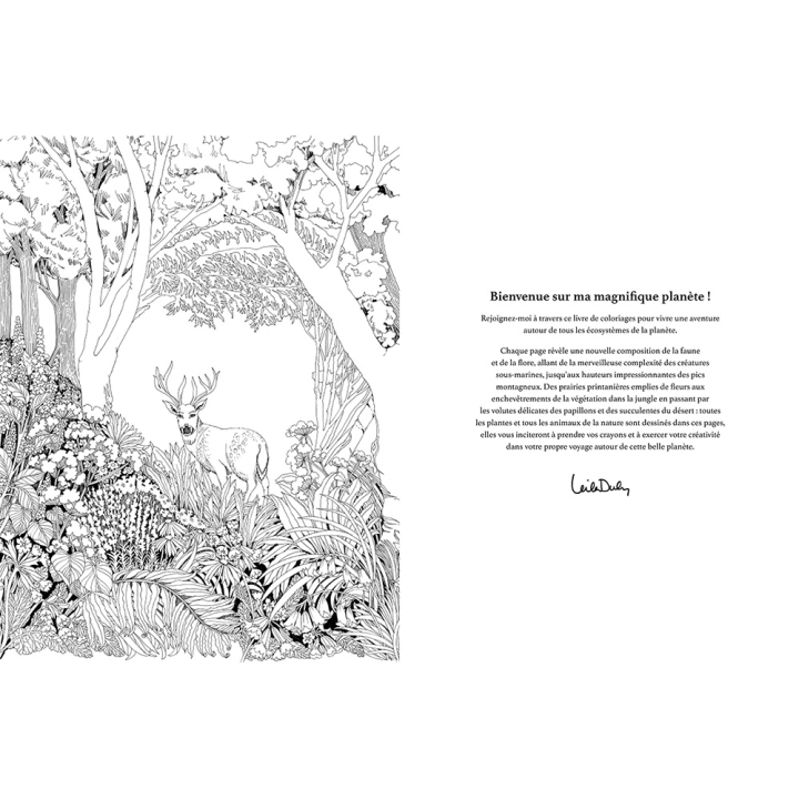 Livre de coloriage Magnifique planète - Hachette - Rougier et Plé