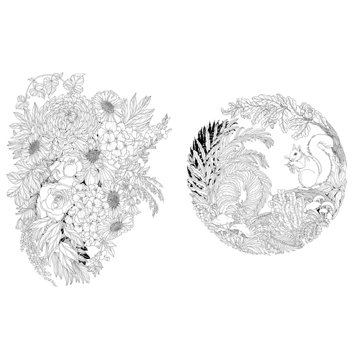 Livre de coloriage Magnifique planète - Hachette - Rougier et Plé