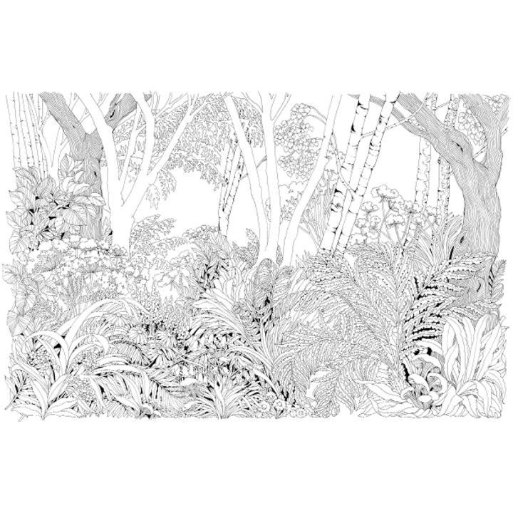 Livre de coloriage Magnifique planète - Hachette - Rougier et Plé