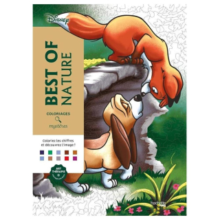 Coloriages mystères Disney Best of Nature - Hachette - Rougier et Plé