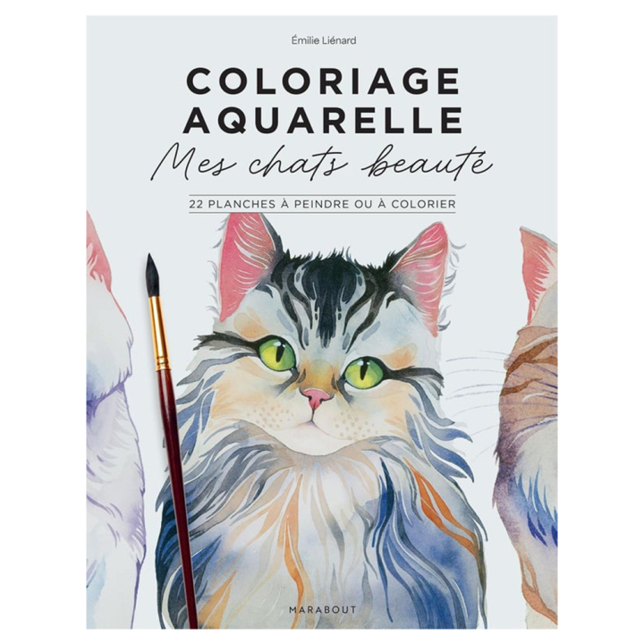 Coloriage aquarelle Mes chats beauté à peindre ou a colorier - Marabout - Rougier et Plé
