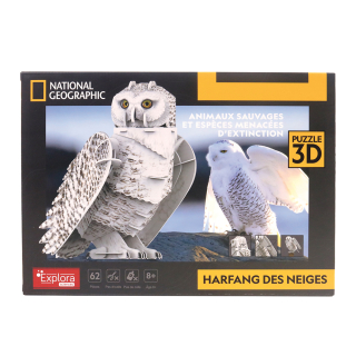 Maquette Chouette en 3D - MGM - Rougier et Plé