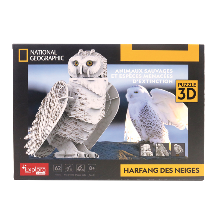 Maquette Chouette en 3D - MGM - Rougier et Plé