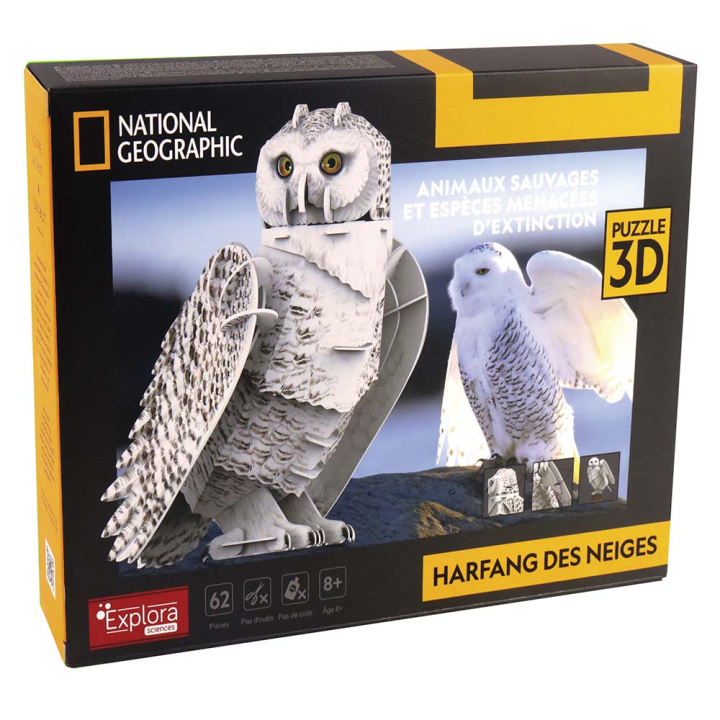 Maquette Chouette en 3D - MGM - Rougier et Plé