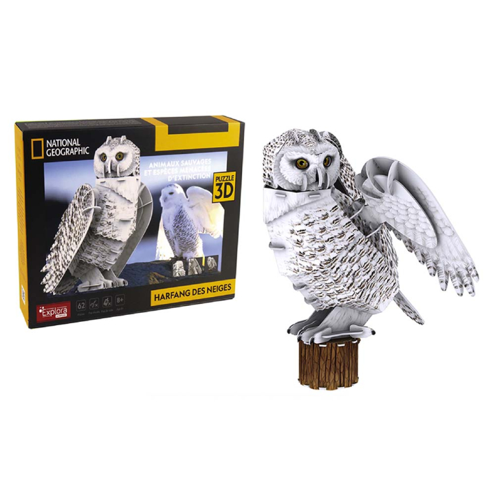 Maquette Chouette en 3D - MGM - Rougier et Plé
