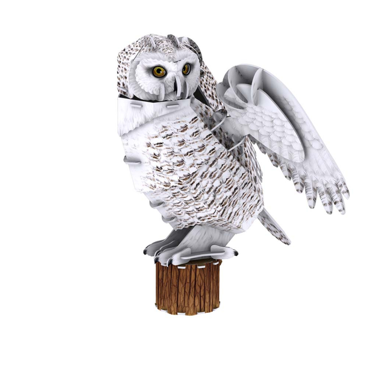 Maquette Chouette en 3D - MGM - Rougier et Plé