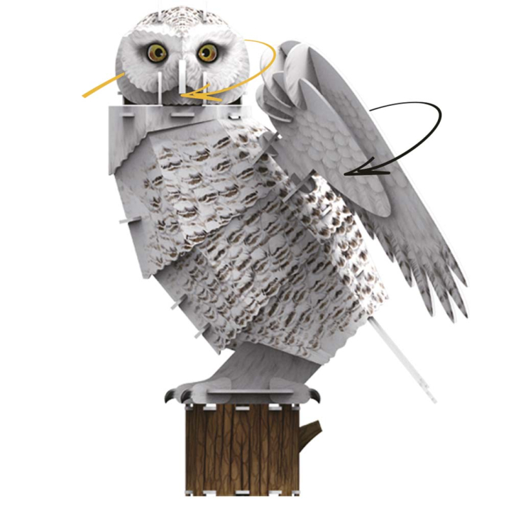 Maquette Chouette en 3D - MGM - Rougier et Plé