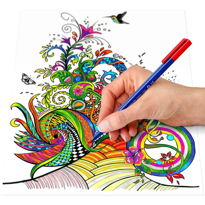 Etui Color 40 feutres de coloriage triplus - Staedtler - Rougier et Plé