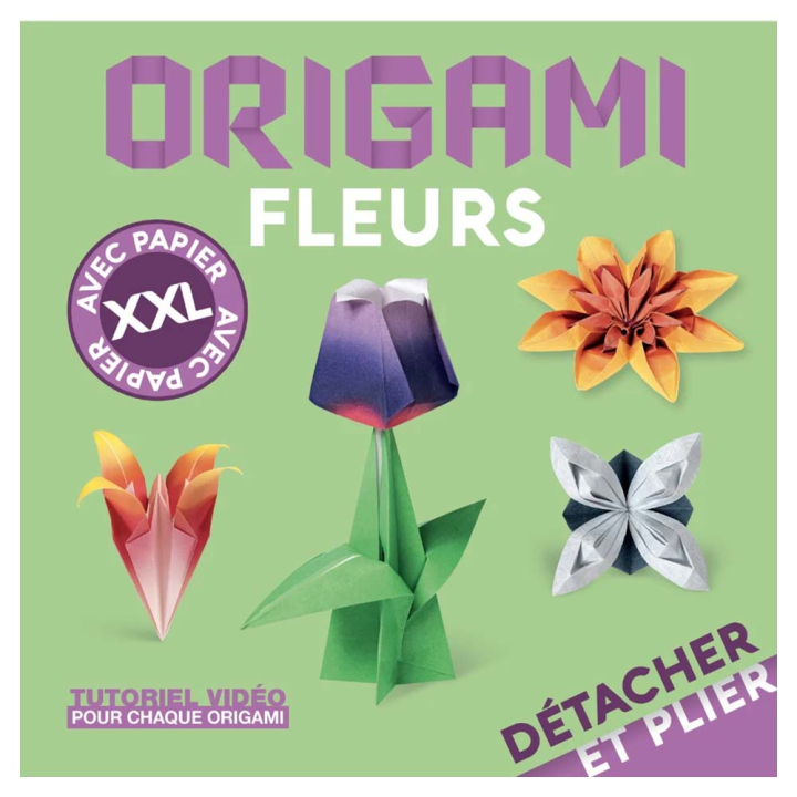 Livre Origami Fleurs Détacher et plier XXL ! - Nuinui - Rougier et Plé