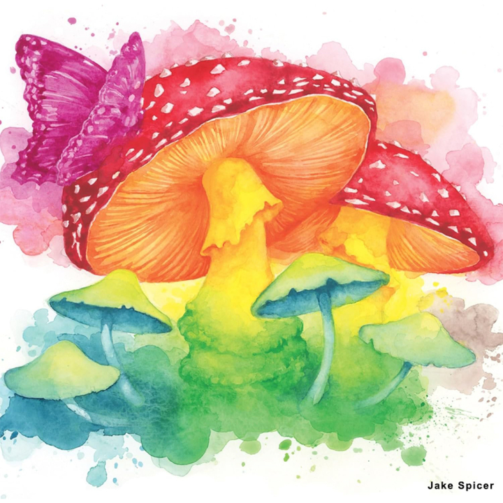 Encre aquarellable Inktense 24 demi-godets - Derwent - Rougier et Plé