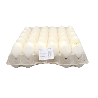 Bougie oeuf Ø45 mm - 60 mm - Graine Créative - Rougier et Plé