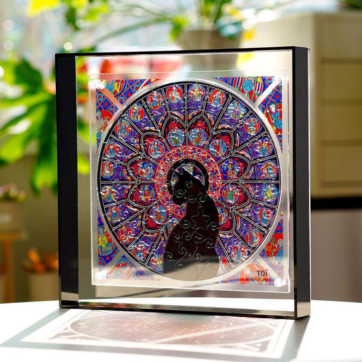 Puzzle acrylique Black church cat 90 pièces - TOI World - Rougier et Plé