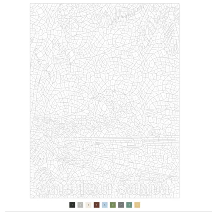 Parcs nationaux américains 40 Coloriages Mystère - Dessain et Tolra - Rougier et Plé